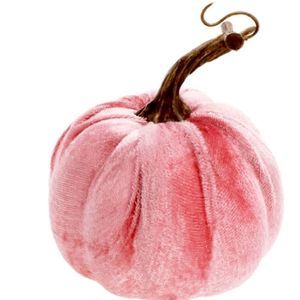 Velvet pumpkin